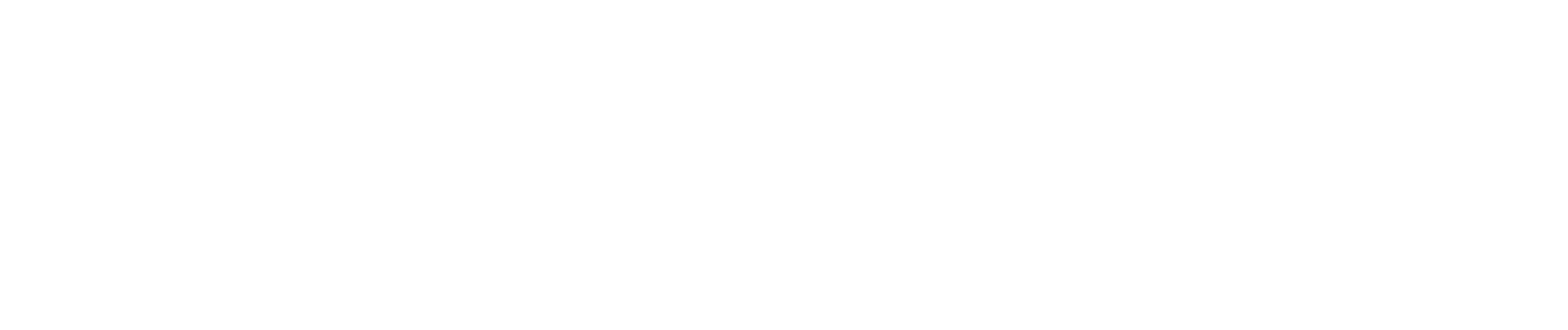 Menhir Logo white